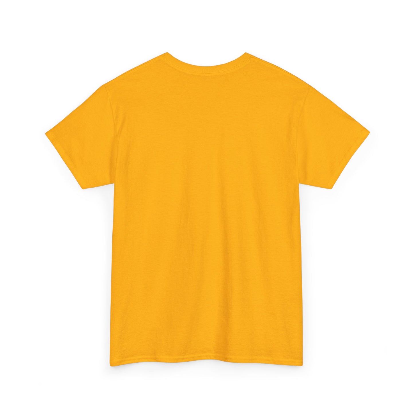 Empowering Graphic Tee, Colorful Unisex Cotton Shirt, Inspirational Apparel, Perfect Gift for Friends, Ideal for Casual Outings